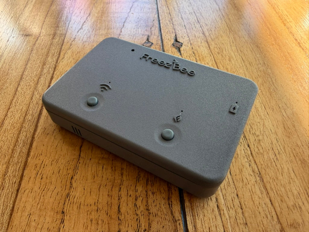 Thermostat FreezBee