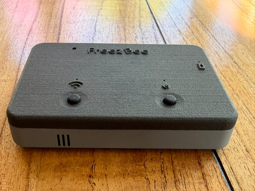 Thermostat FreezBee
