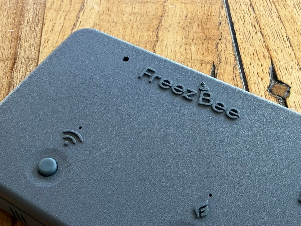 Thermostat FreezBee