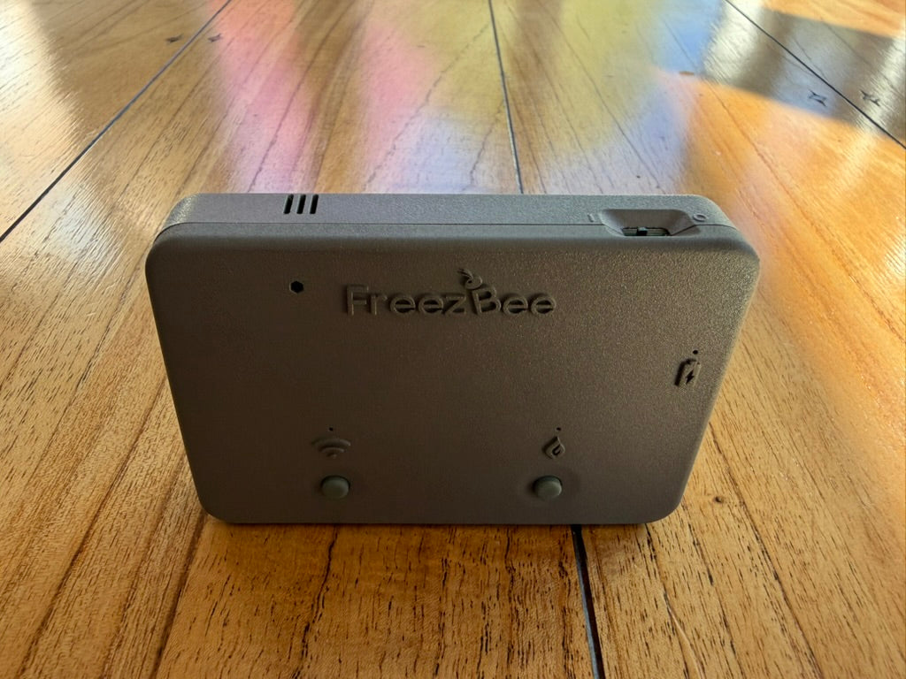 Thermostat FreezBee