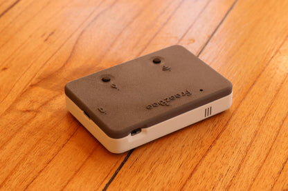 Thermostat FreezBee